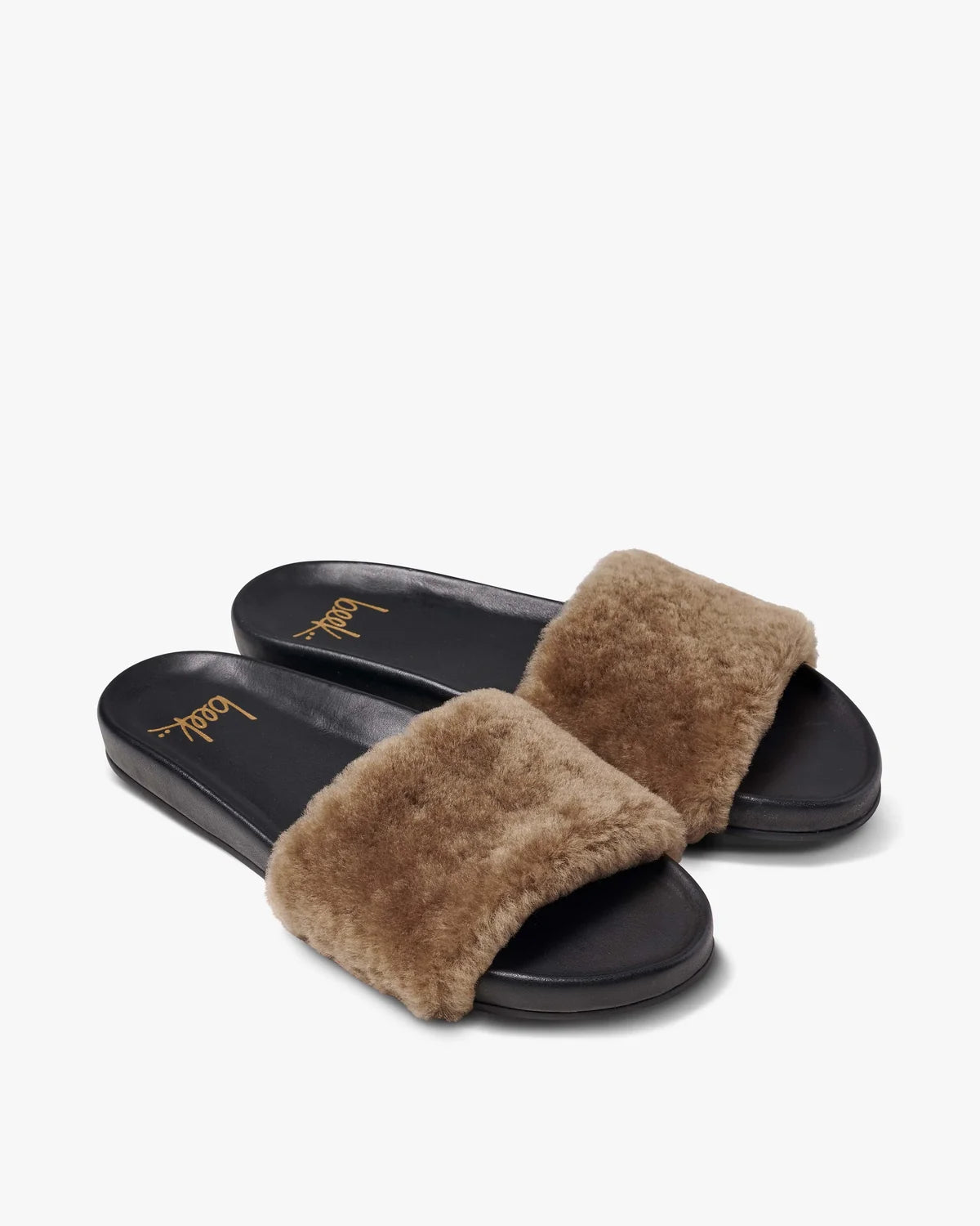 GALLITO SHEARLING W03GALLMAS-BZBK