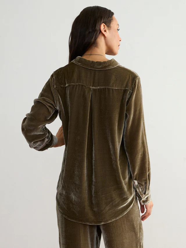 VELVET BUTTON DOWN 1781SVR