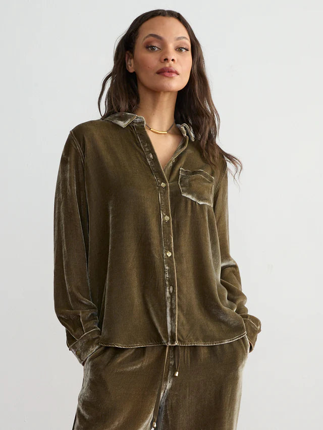 VELVET BUTTON DOWN 1781SVR