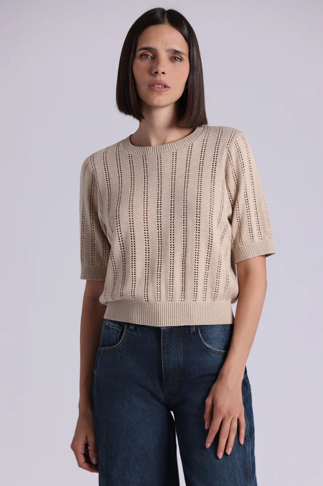 SPARKLE S/S  CREW W/ POINTELLE  9752