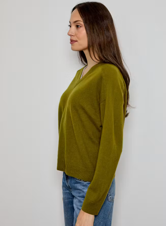 V NECK PULLOVER CASE0112003